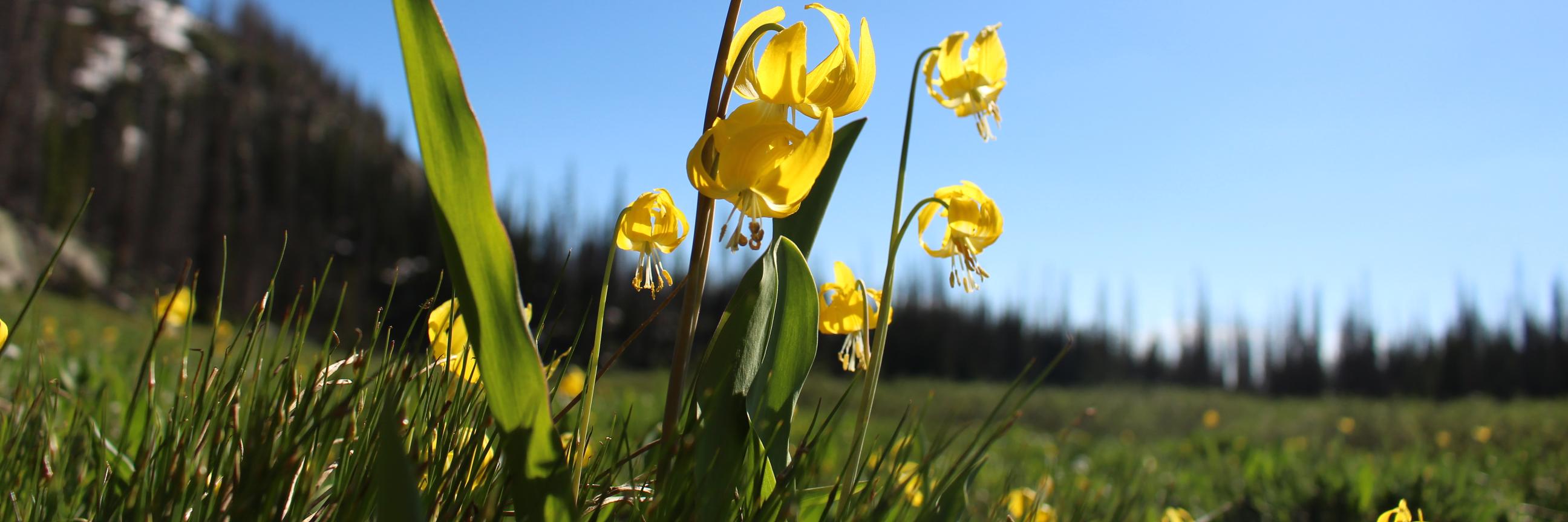 brileighjones's profile banner image