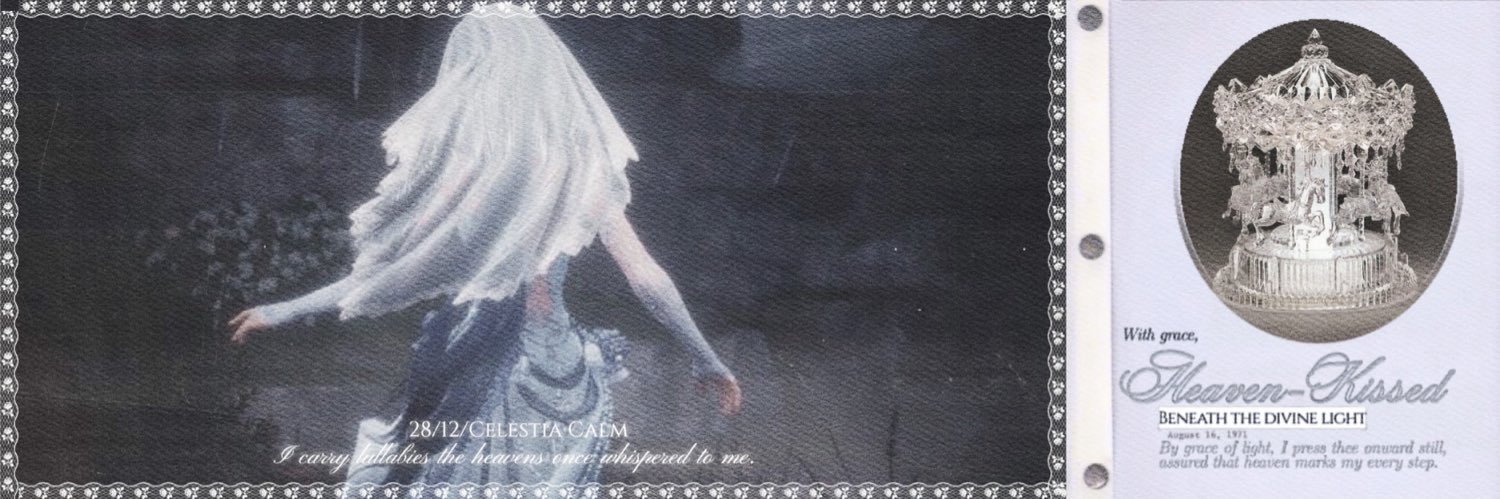 ‎ໂ‎ ᩘ̤✿ banner