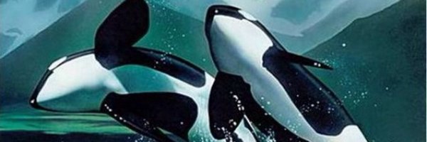 TheOrcaProject Profile Banner
