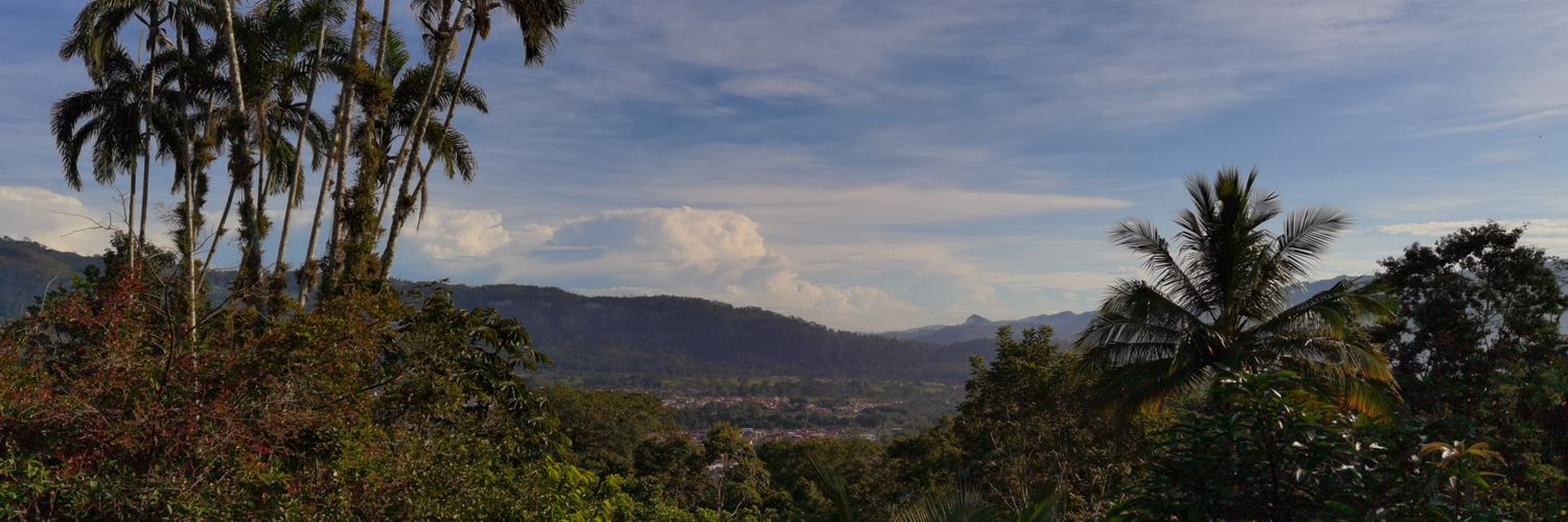 Laura Guido Pérez banner