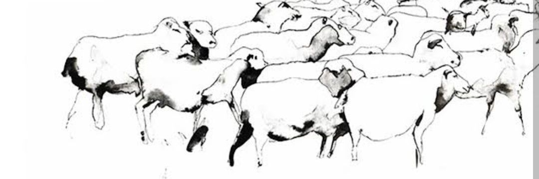 Fabricio Pinho banner