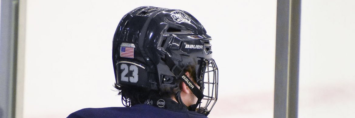 VdvWill's profile banner image