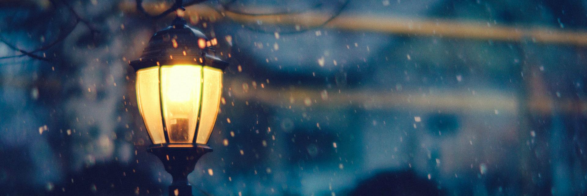 Dr Colette Barry banner