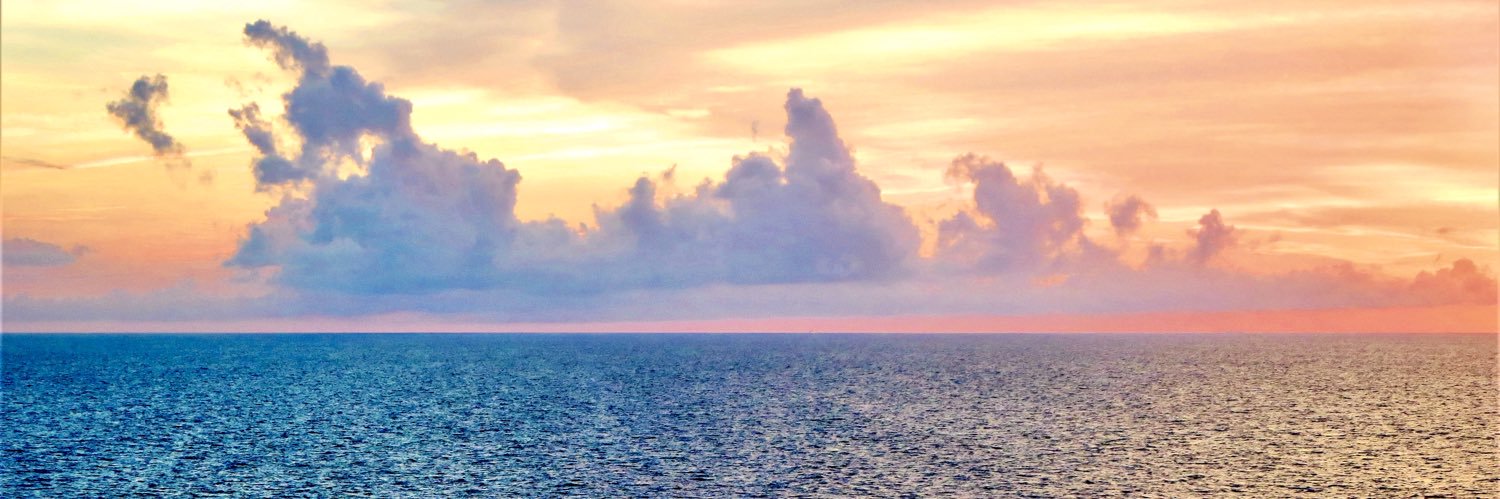 TYLER (10 minute version) banner
