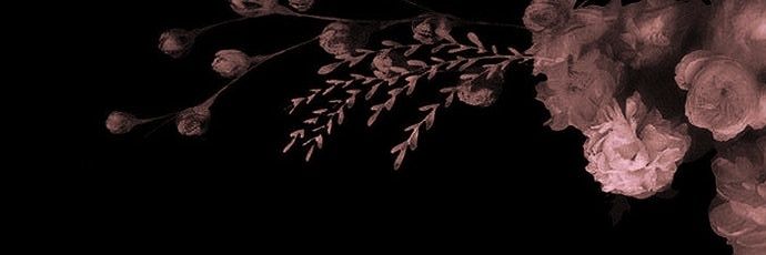 tarryn's banner