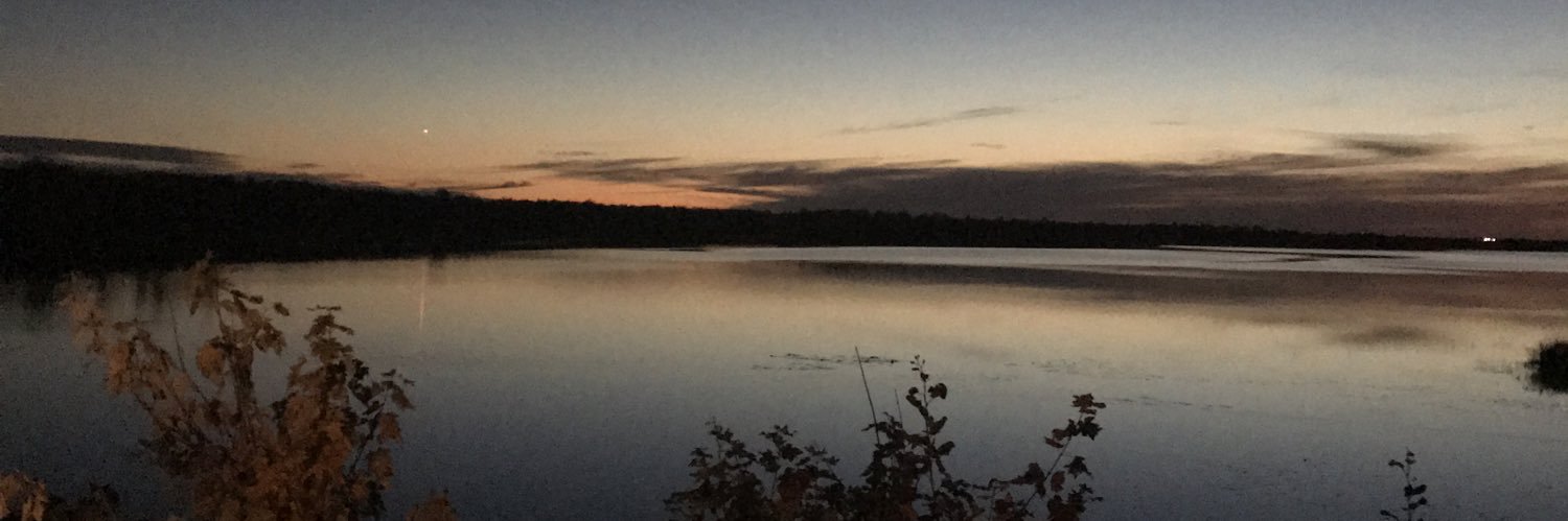 Andrea Johnson banner