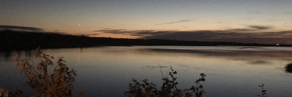 andreajohnsonNB Profile Banner