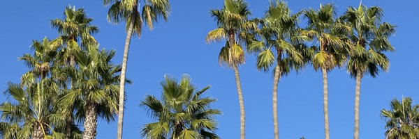 NexusStrategy Profile Banner