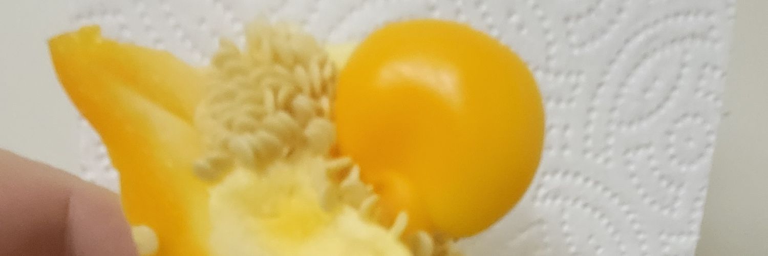 walter_dean's profile banner image