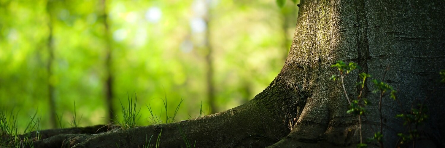 mob_17's profile banner image