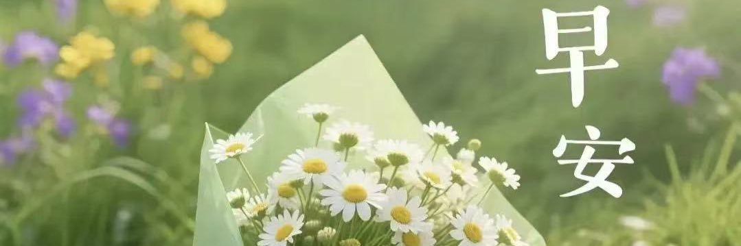 杨君颐 banner