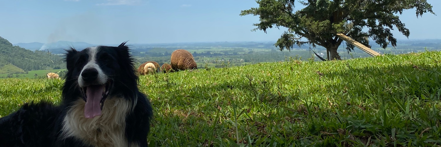 tiaggo's profile banner image