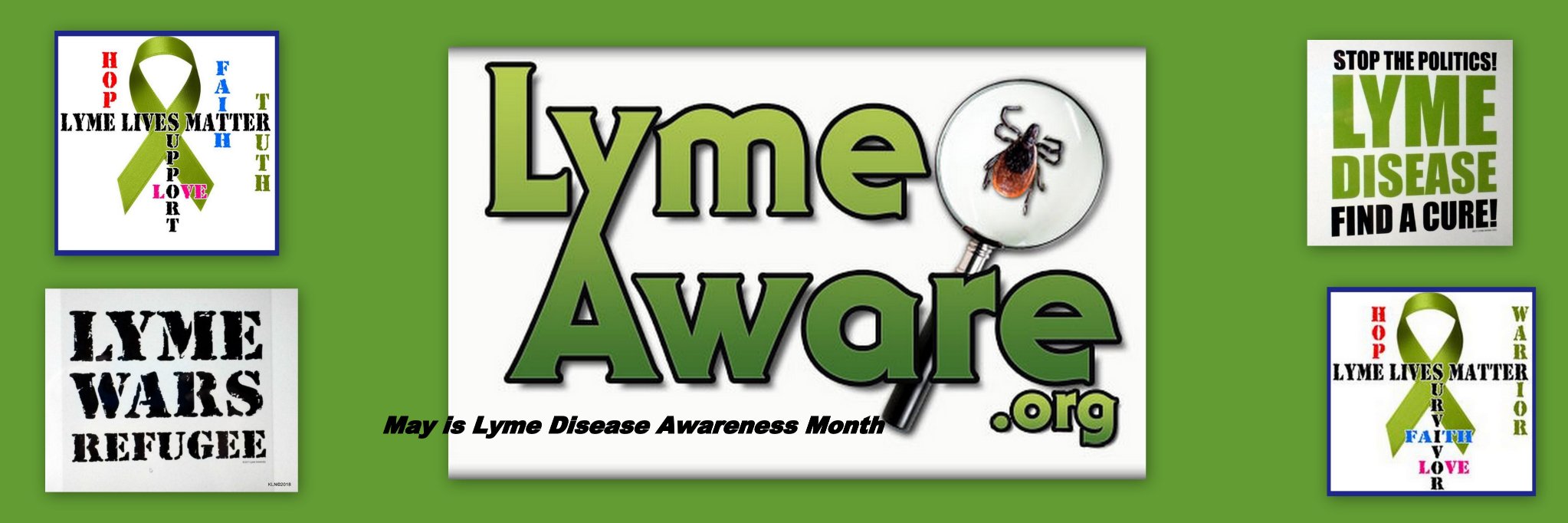 LymeAware's profile banner image