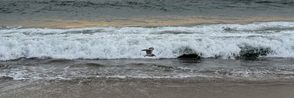 timweigel Profile Banner