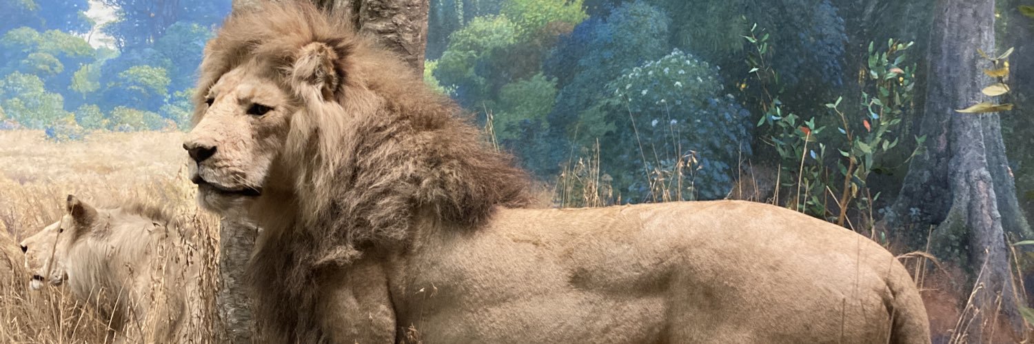 jaguevara's profile banner image