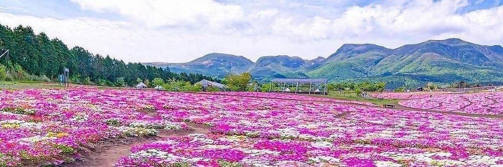 الهه بخشی نژاد's banner