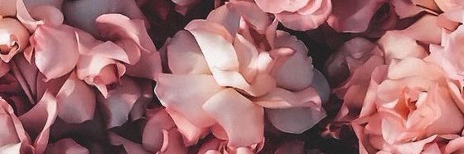 misquirrell's profile banner image