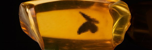 NguyenAn1315380 Profile Banner