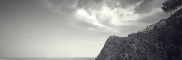 _vpinbw Profile Banner