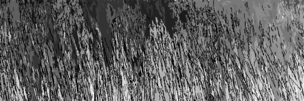 EkIsMaju's profile banner image