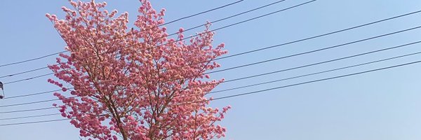 pinksmurfff Profile Banner