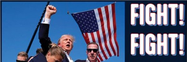 ThatDamnDuck76 Profile Banner