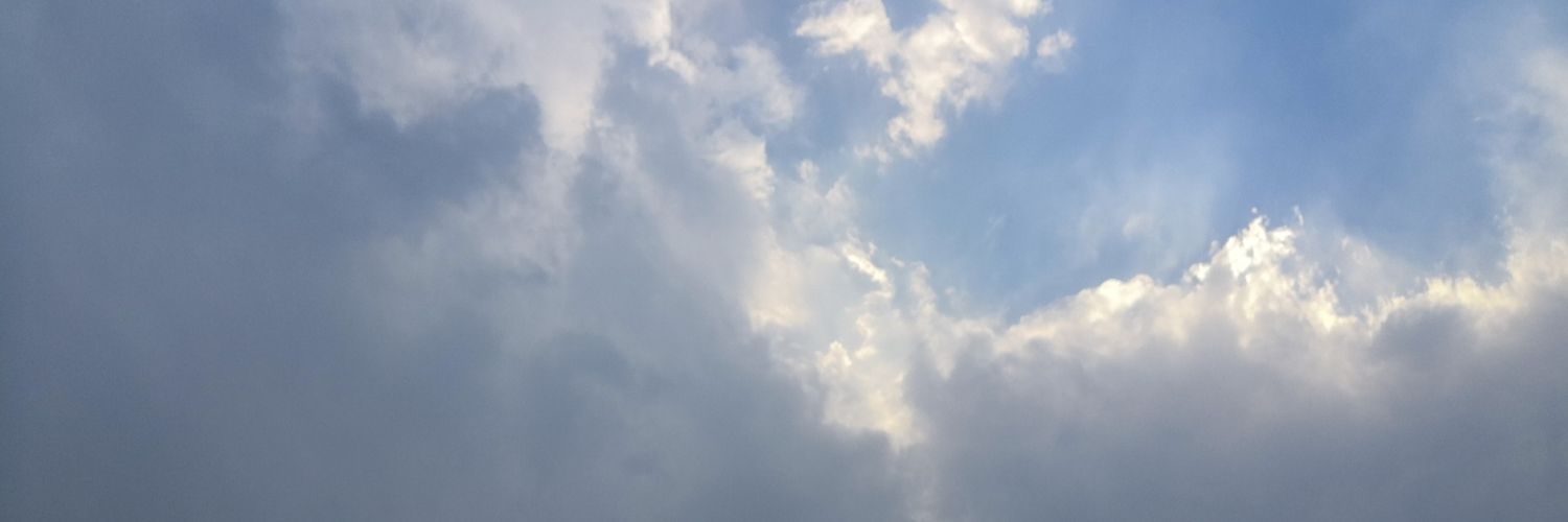 Namool's profile banner image