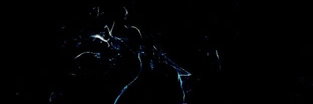 Nas_P_C's profile banner image