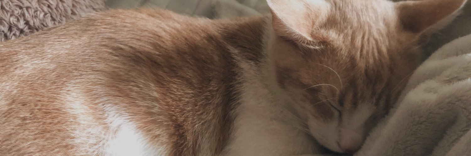 alvleslyf's profile banner image