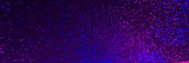 cynicallab92's profile banner image