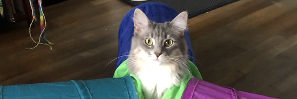 AyshaWax Profile Banner