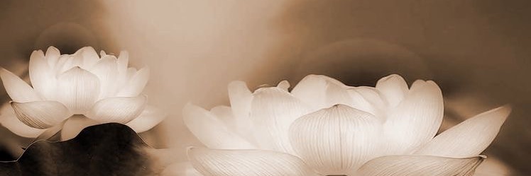 emptiness🐾 banner