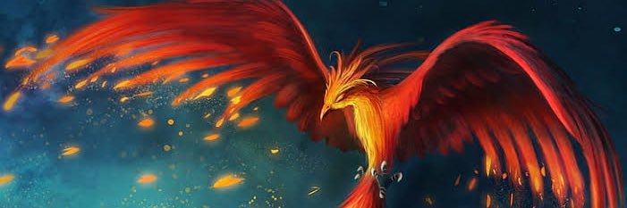 hugomarz's profile banner image