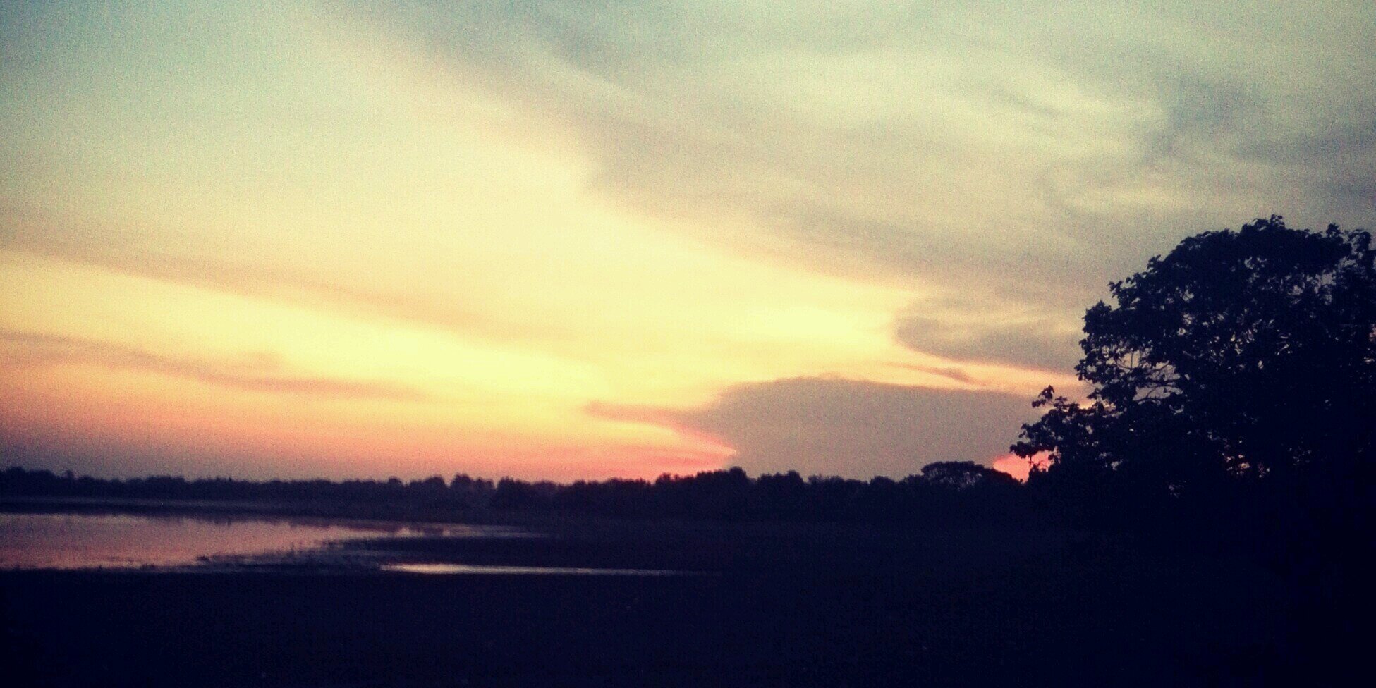 Olga Hope León P banner