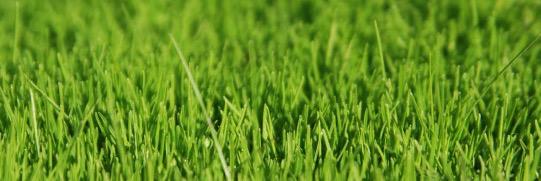 Lulitr's profile banner image