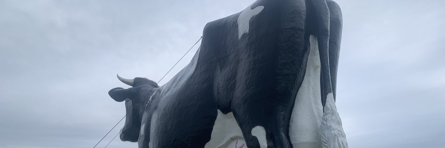 NDb0rn's profile banner image