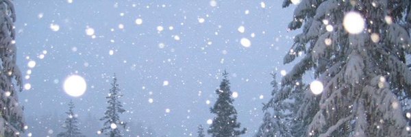MintySFX Profile Banner
