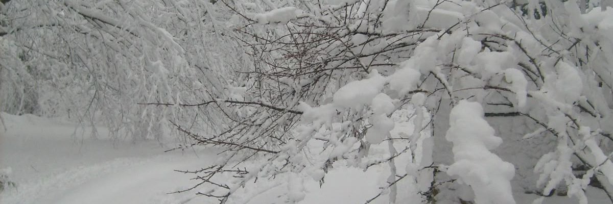 BorzFNR's profile banner image
