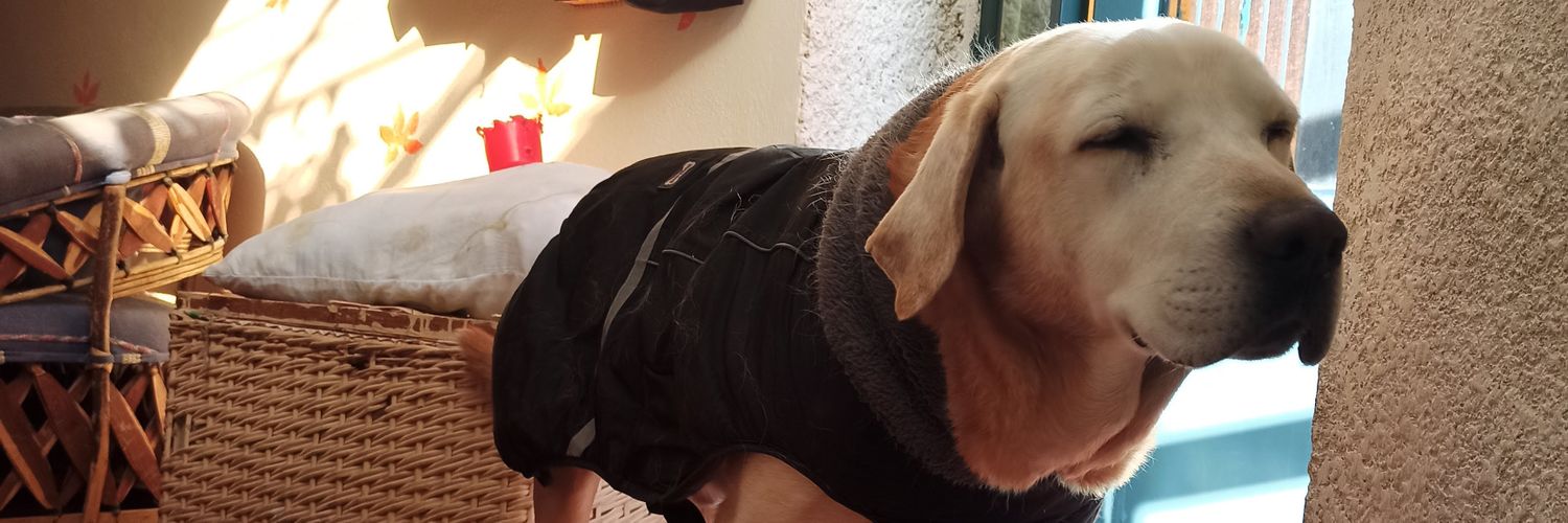 Tobe or not 🦇 banner