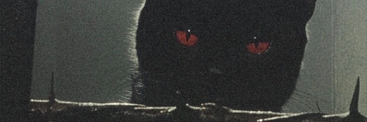 The_Rare_SB's profile banner image