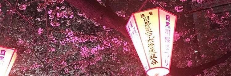 gyumi ❤︎ ia! banner