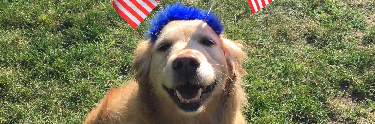 PatCollins63's profile banner image