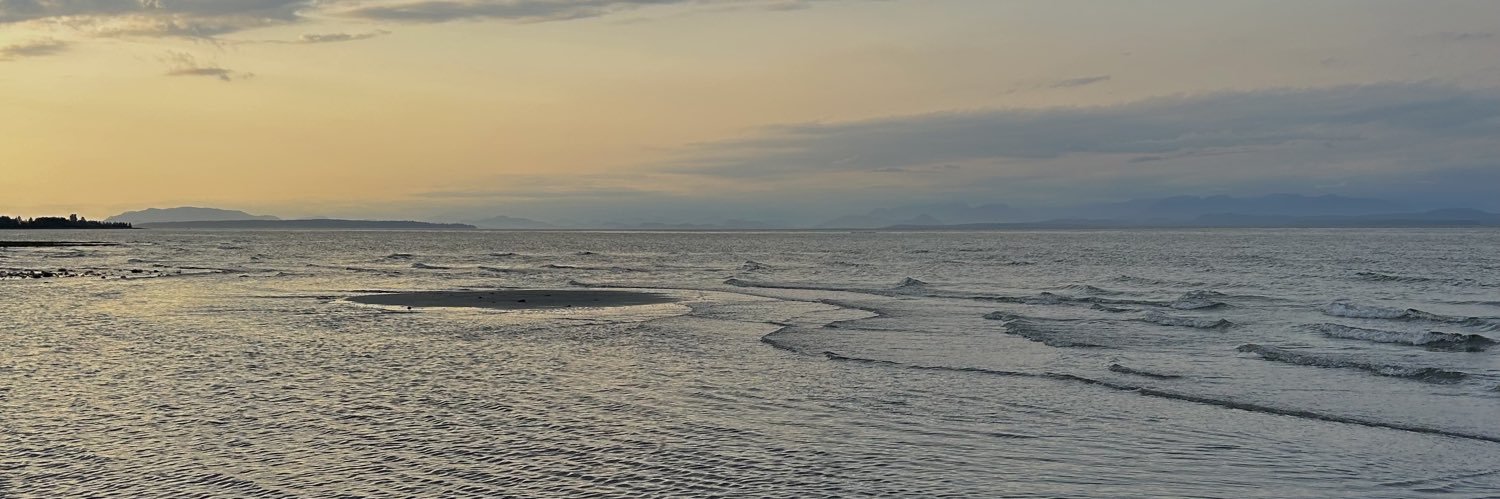 nlf97's profile banner image