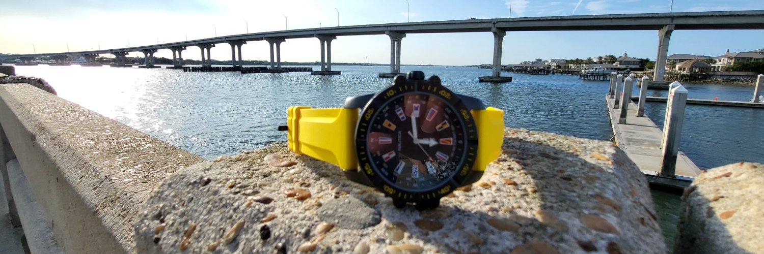 TheWatchDude's banner