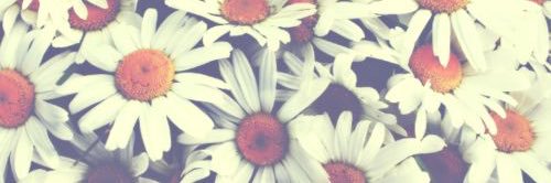 _nicolaclark_'s profile banner image