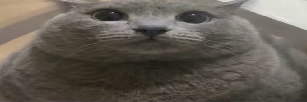 The thing banner