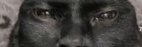 Cannibalismmore's profile banner image