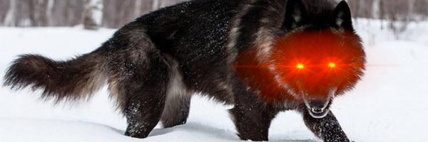 G_Lyko Profile Banner