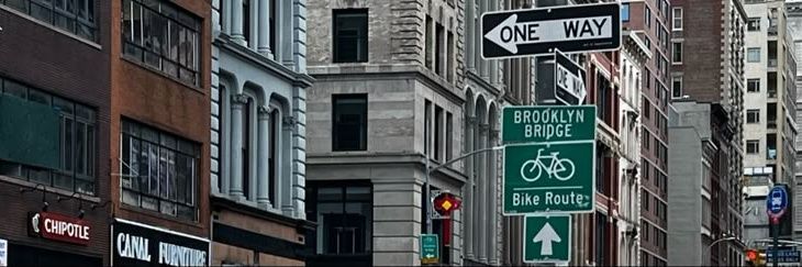 villona blaire banner