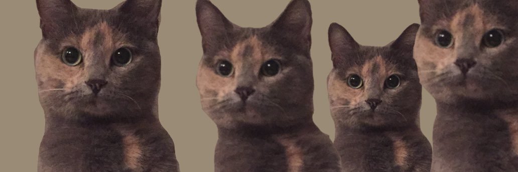 haelvv's profile banner image